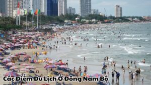 Khám Phá Các Điểm Du Lịch Ở Đông Nam Bộ