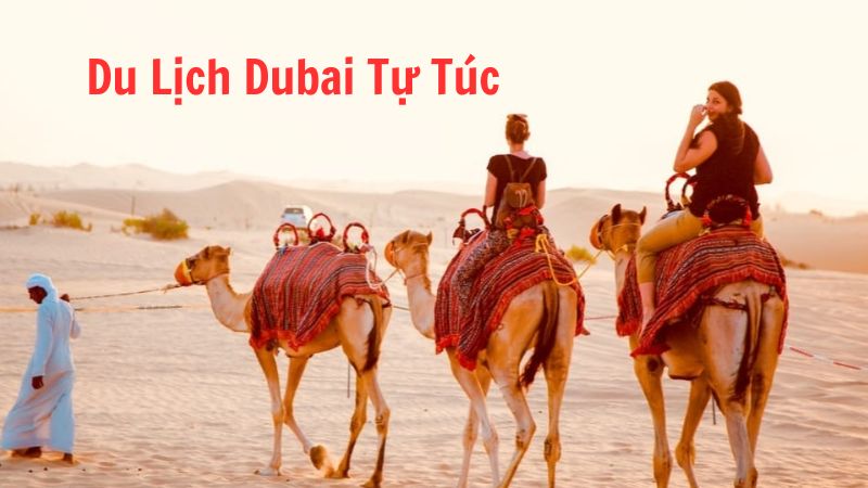 Cẩm Nang Du Lịch Dubai Tự Túc Cho Người Mới