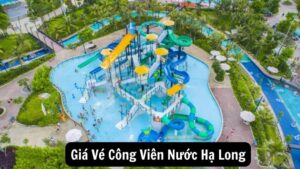 Tìm Hiểu Chi Tiết Giá Vé Công Viên Nước Hạ Long