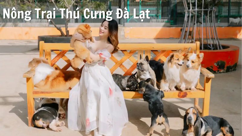 Nông Trại Thú Cưng Đà Lạt