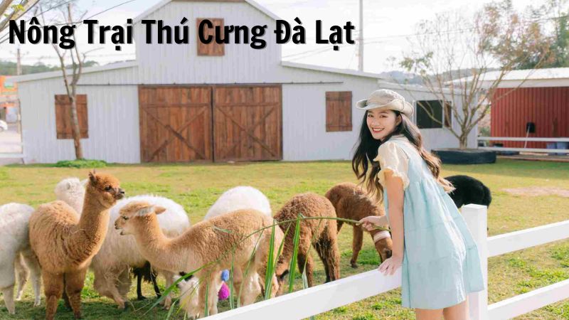 Nông Trại Thú Cưng Đà Lạt