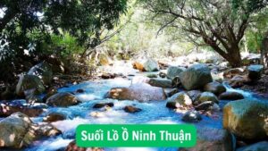 Suối Lồ Ồ Ninh Thuận: Điểm Đến Lý Tưởng